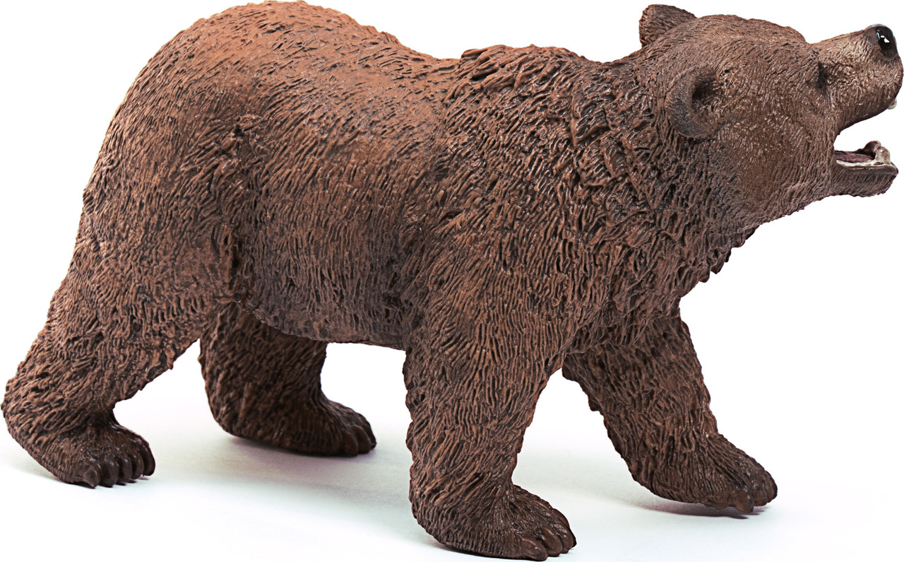 Grizzly Bear 2