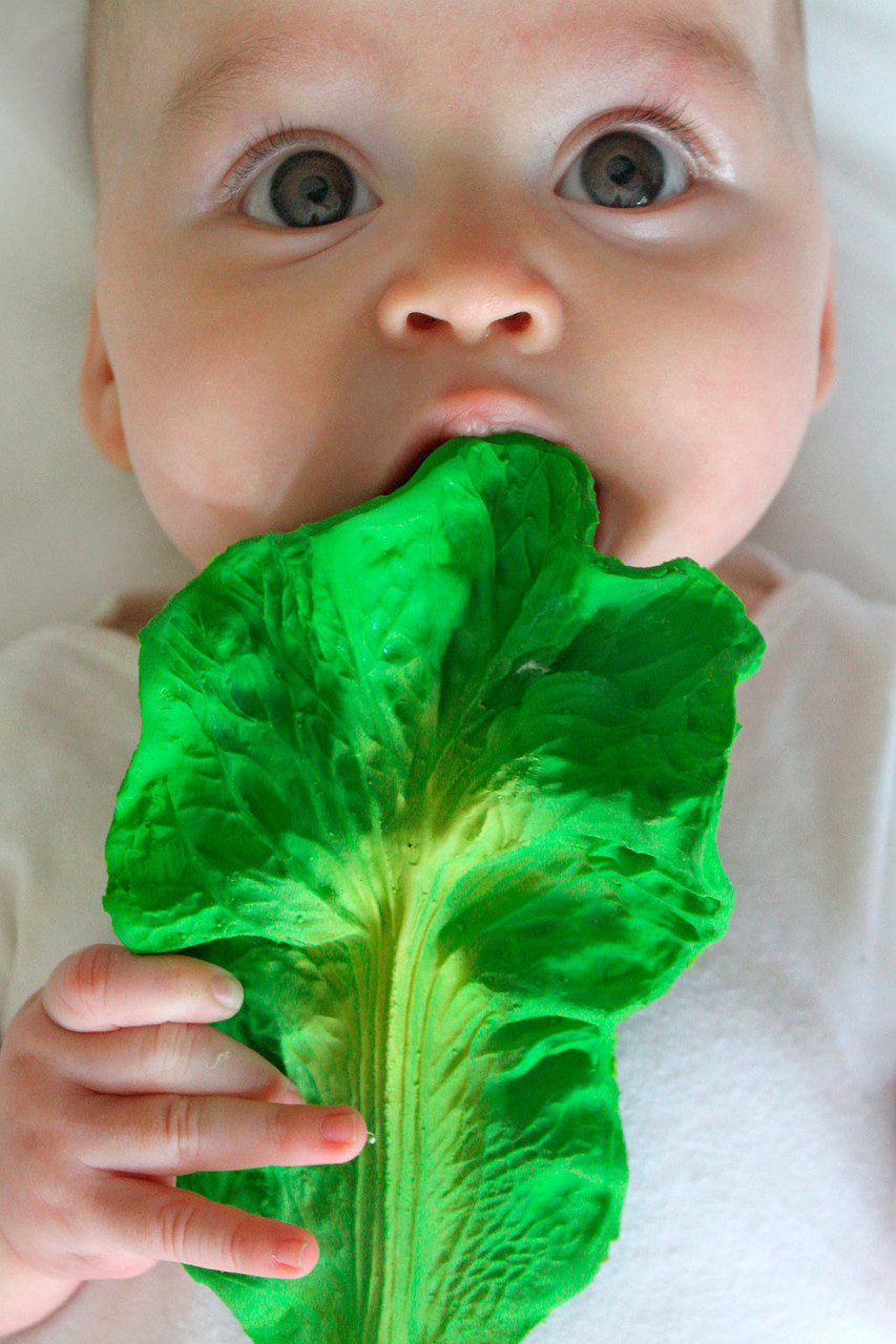 Oli & Carol Kendall the Kale Teether 2