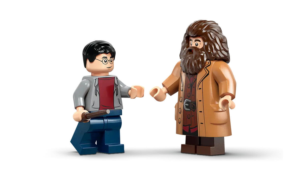 Hagrid And Harry Privet Drive Escape