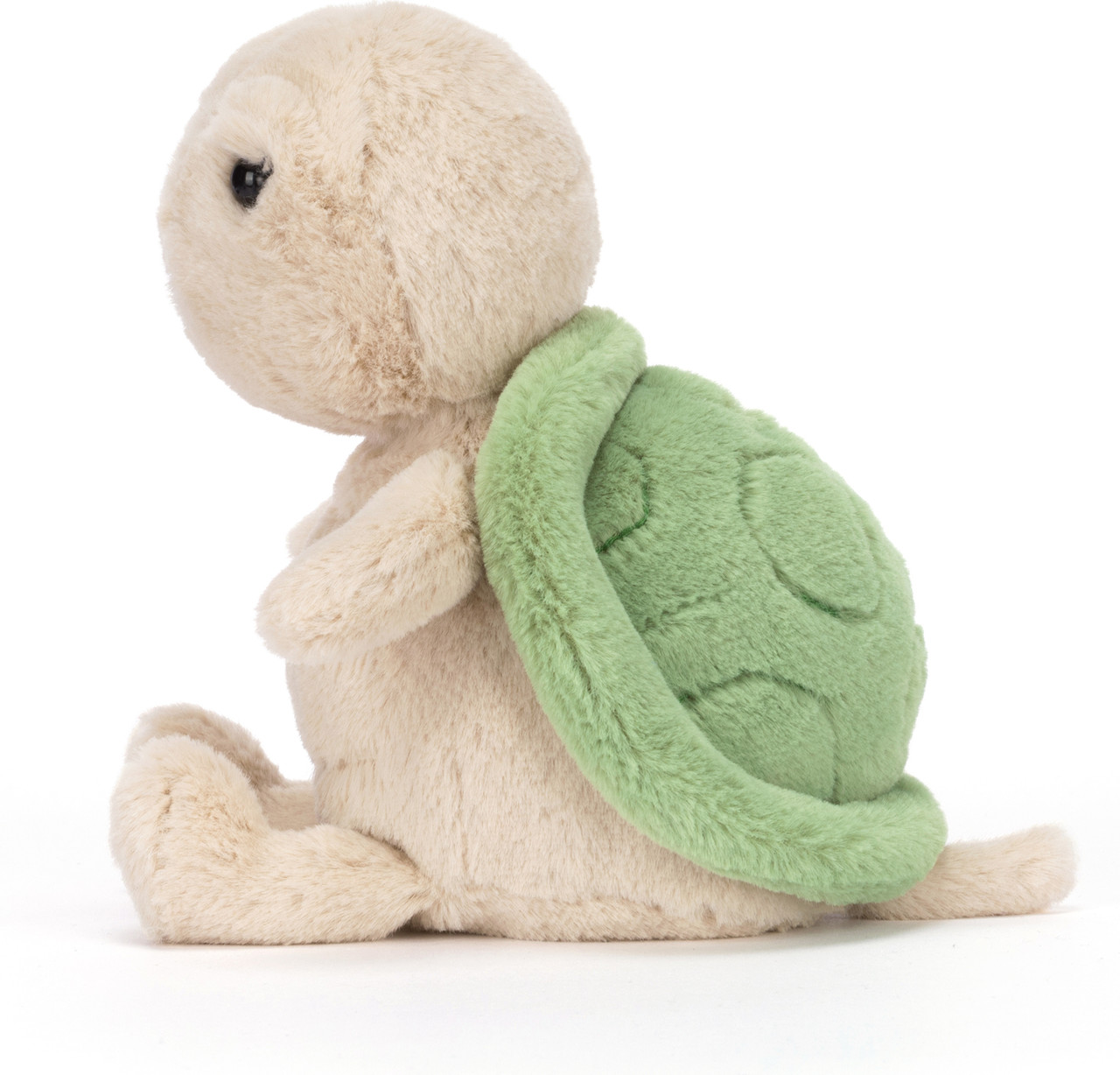 Thimble Turtle 2