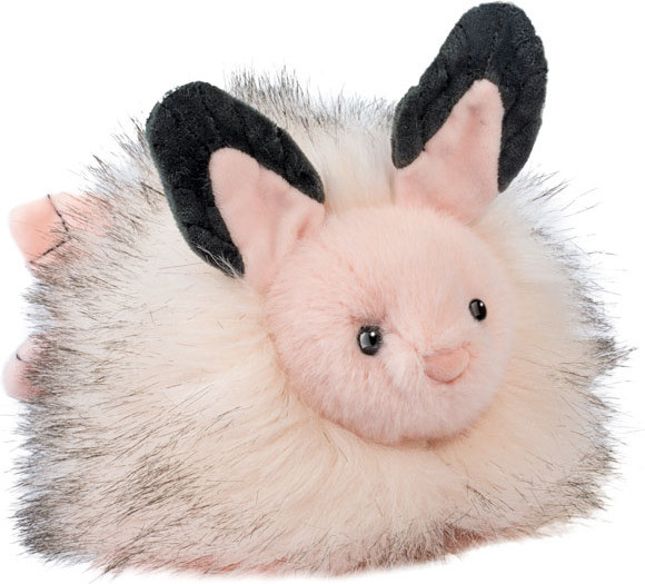 Skimmer Sea Bunny Slug 1