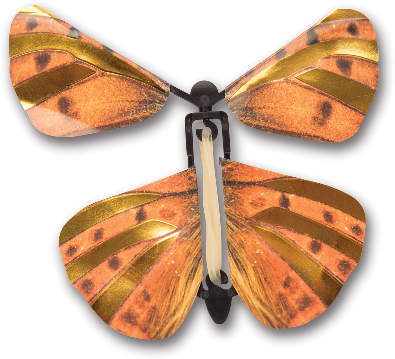 Wind up Australian Butterflies 2