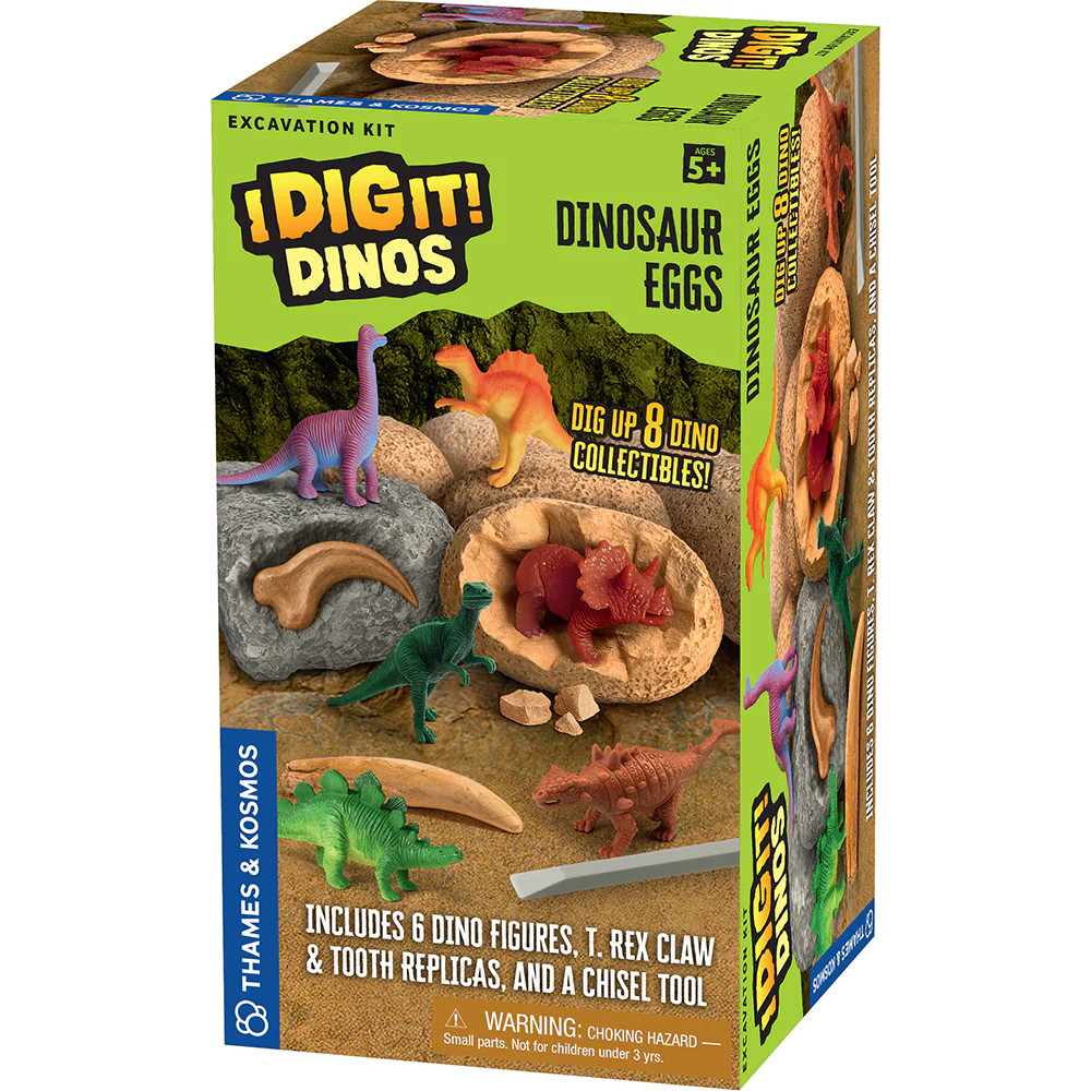 I Dig It Dinos Dinosaur Eggs
