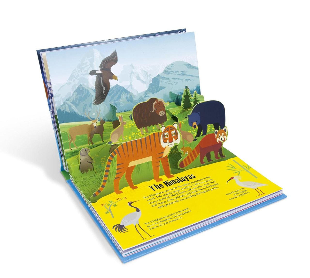 Nature Pop Up Mountains