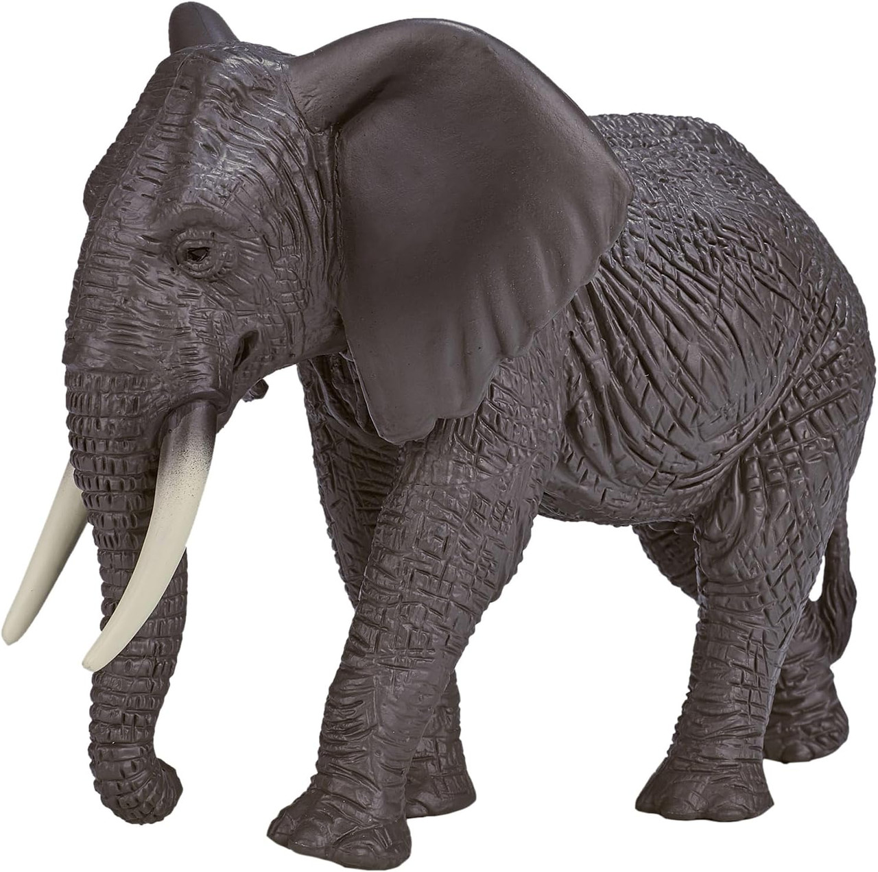 African Elephant