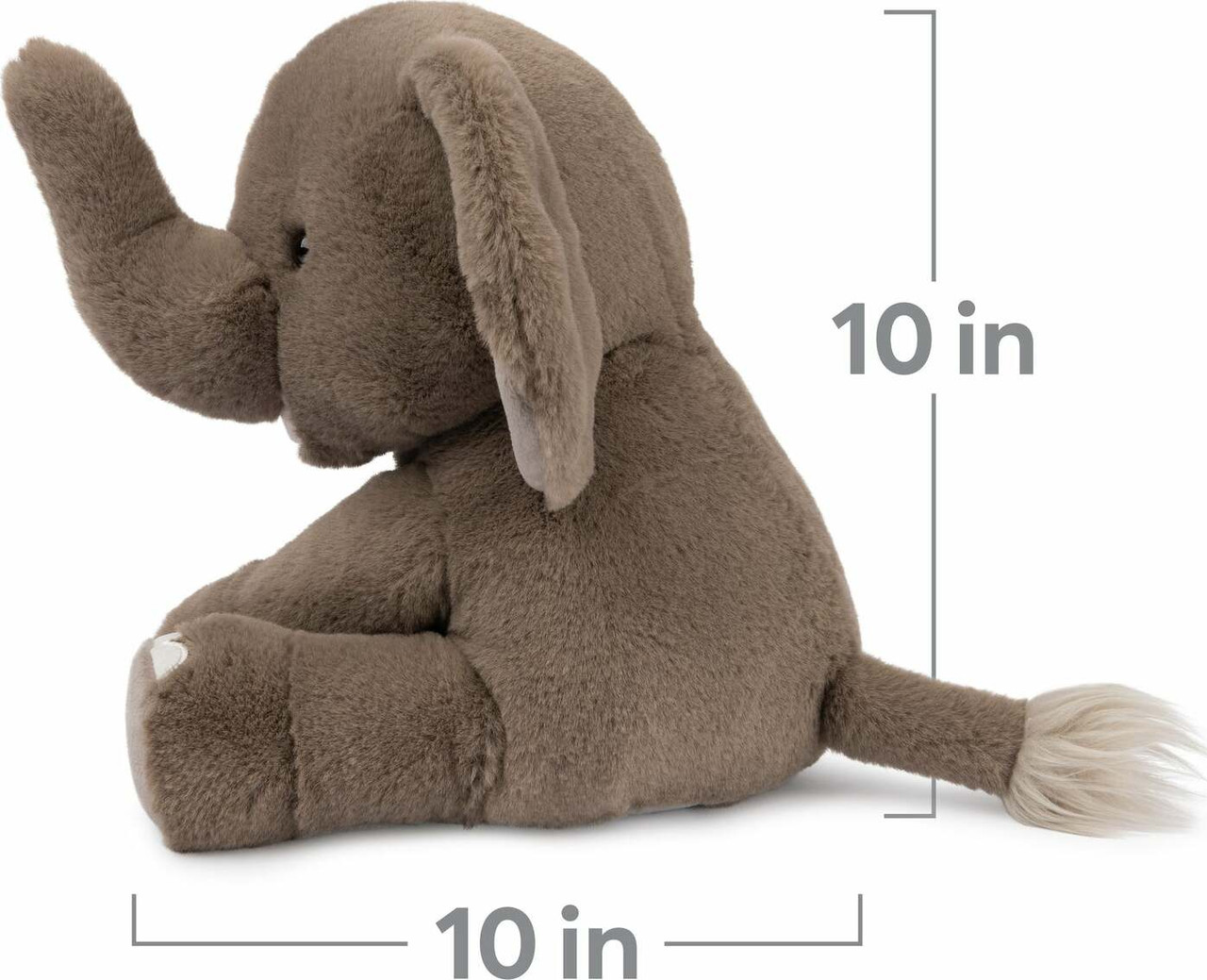 Chai The Elephant, 10 In 4