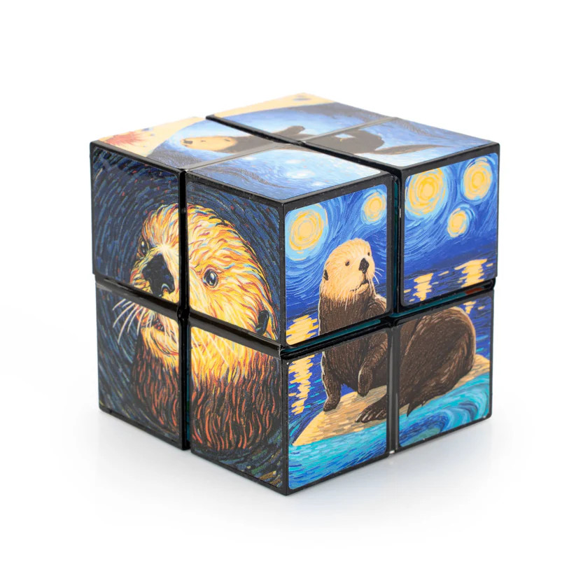 Art Inspired Star Cube