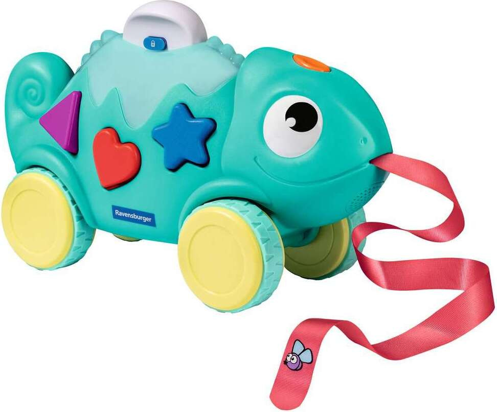 Color & Shape Sorter: Chameleon* 3