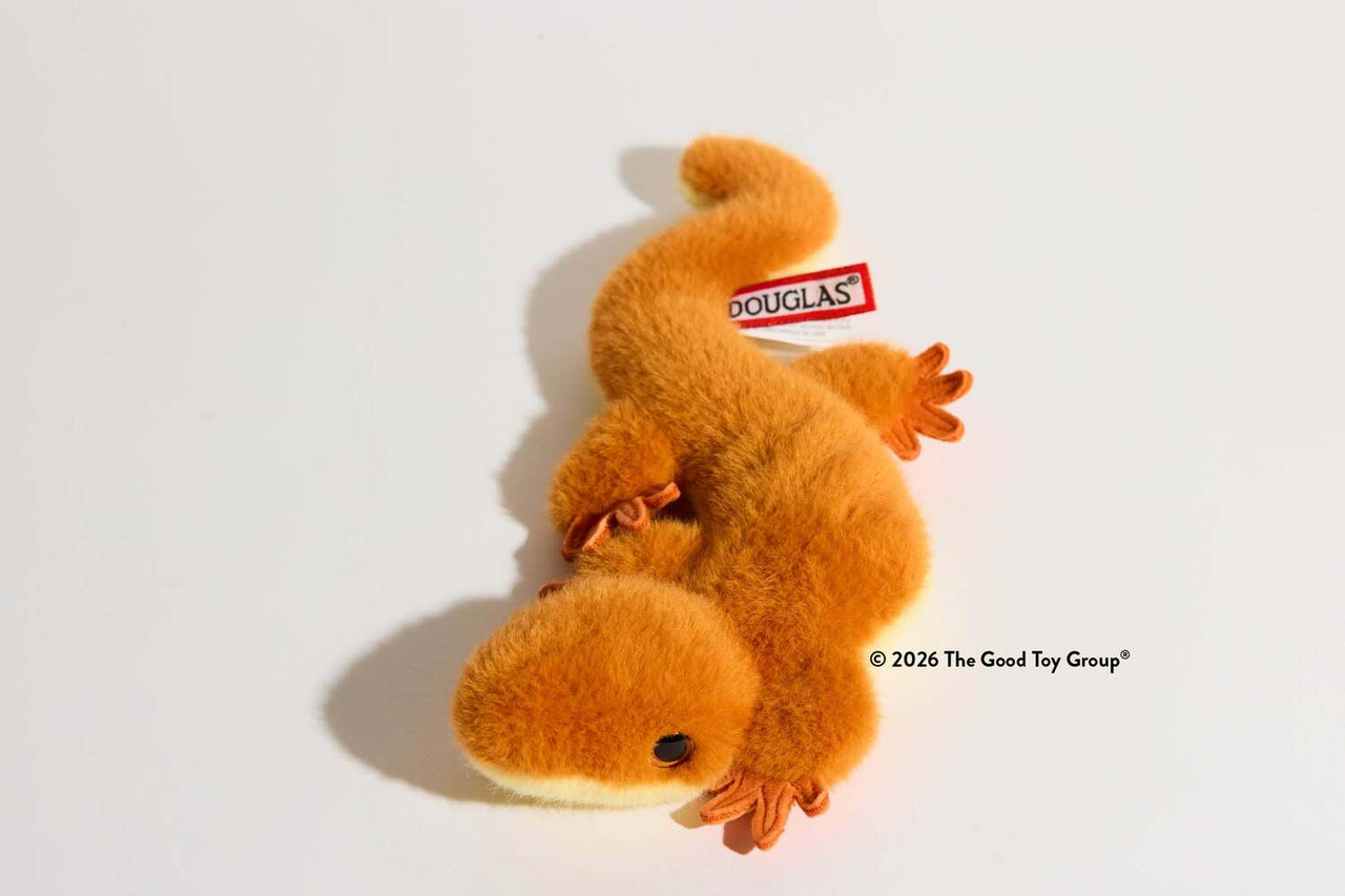 Sam Salamander 4