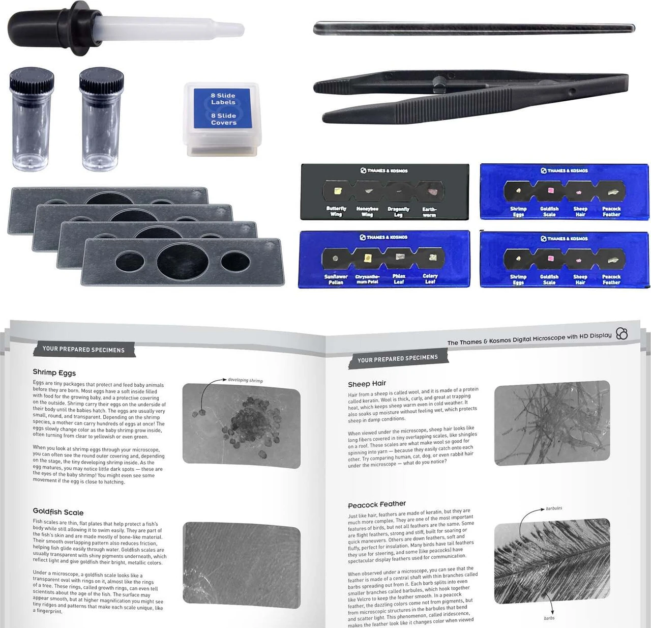 Thames & Kosmos Digital Microscope 3