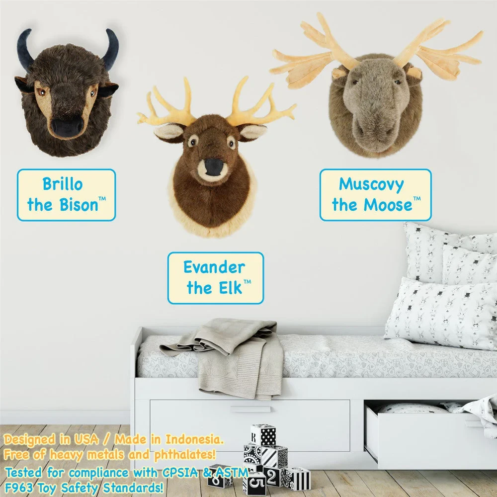 Evander Elk Head