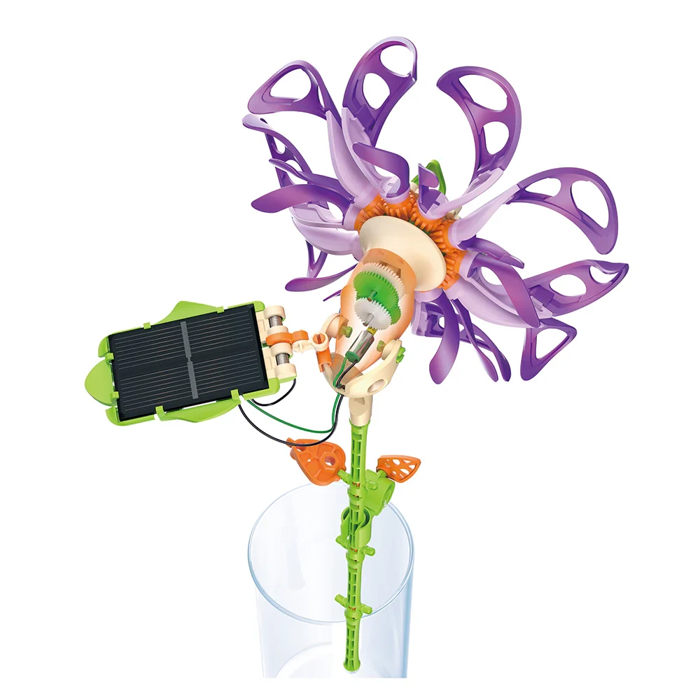 Purple Majestic Solar Flower