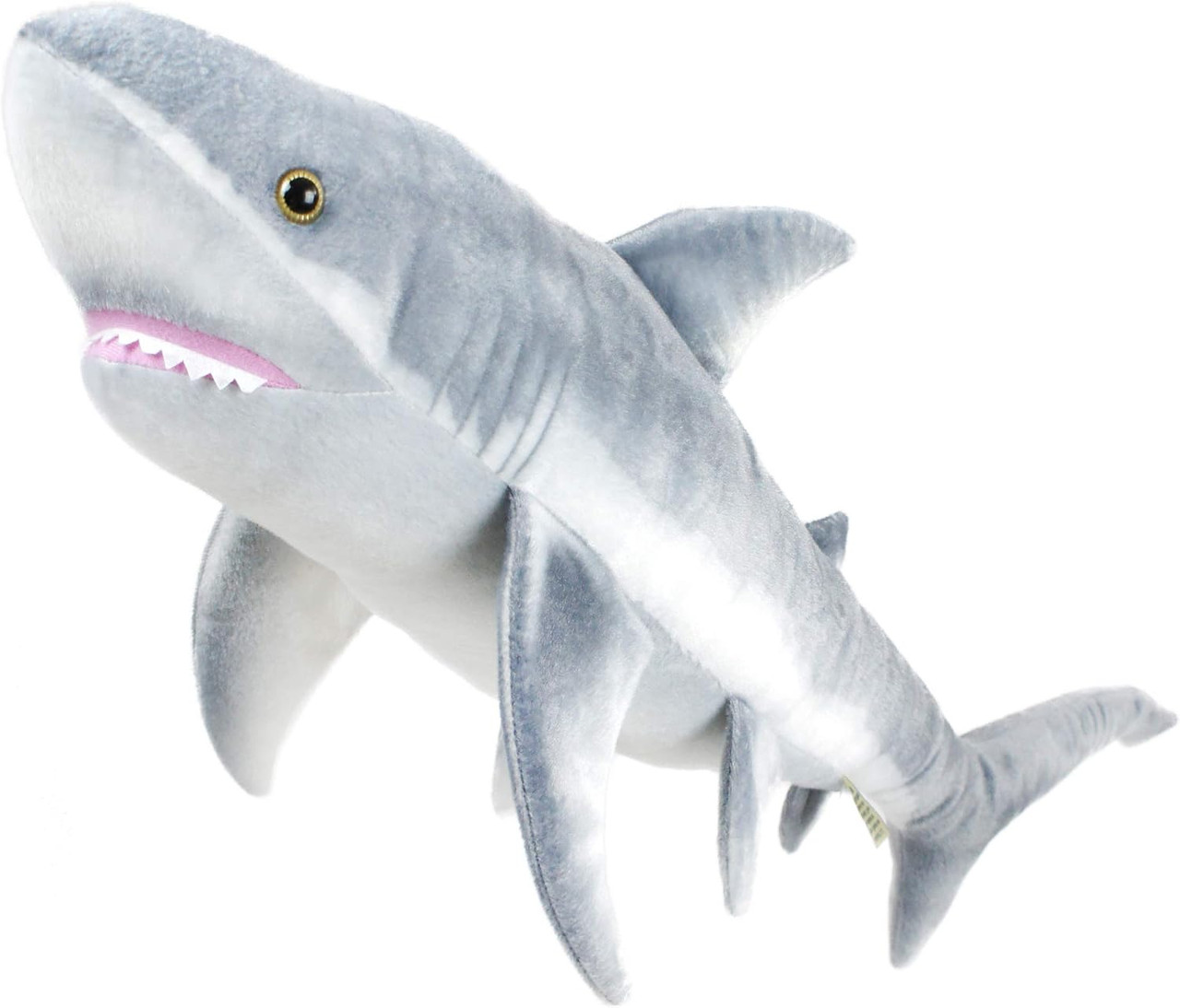 Sammy Shark