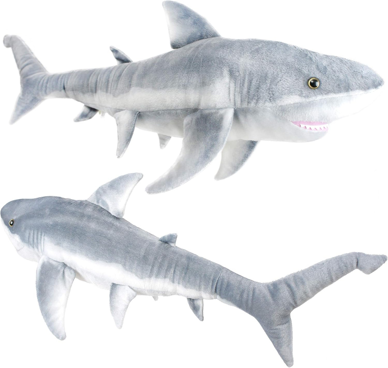 Sammy Shark
