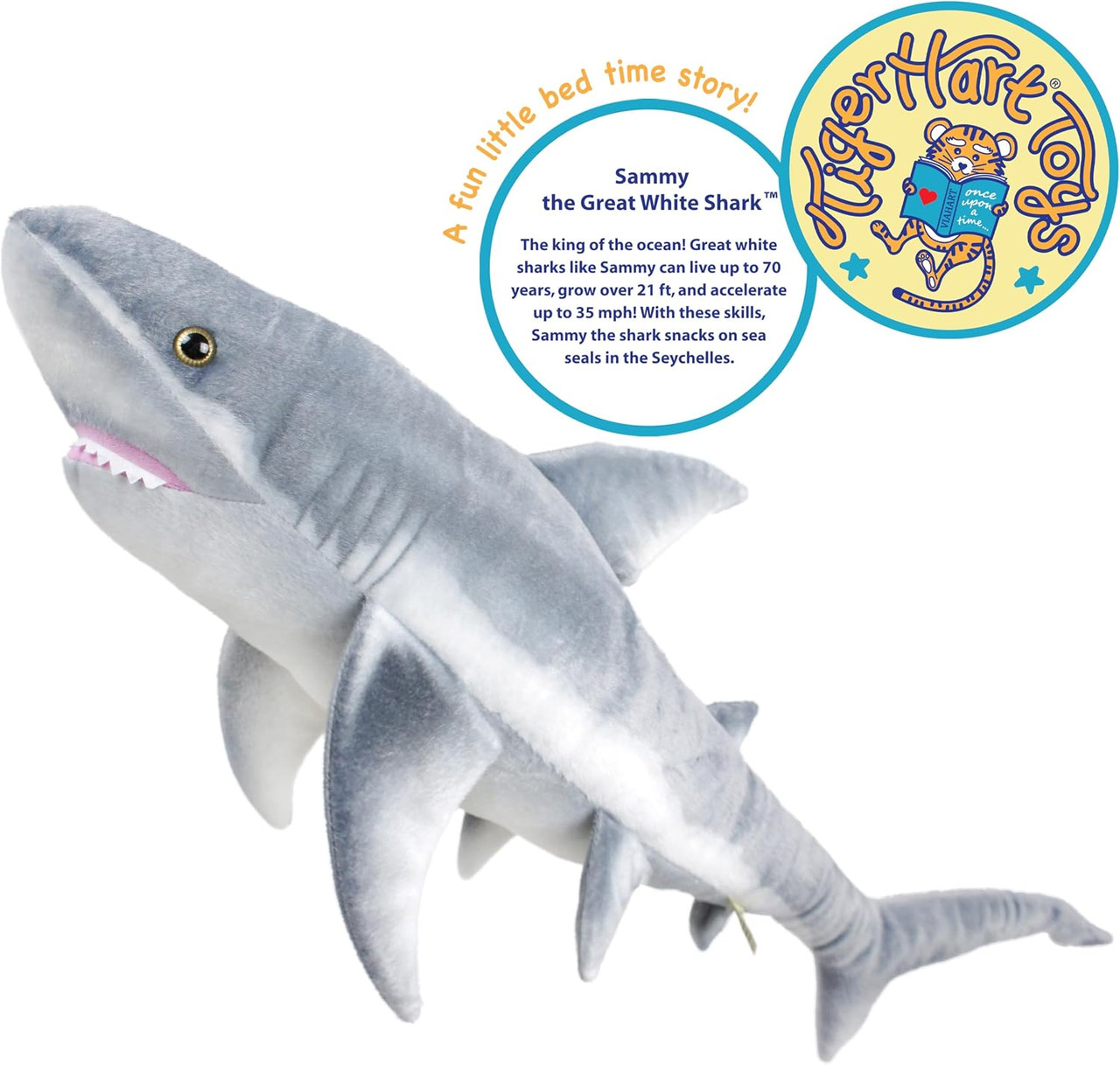 Sammy Shark