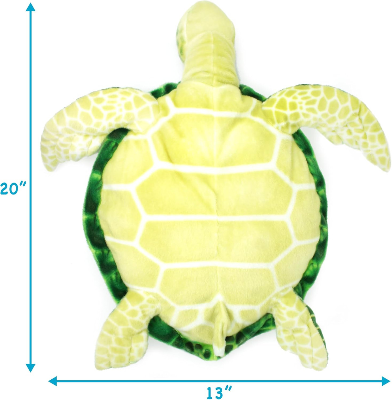 Olivia Hawksbill Turtle