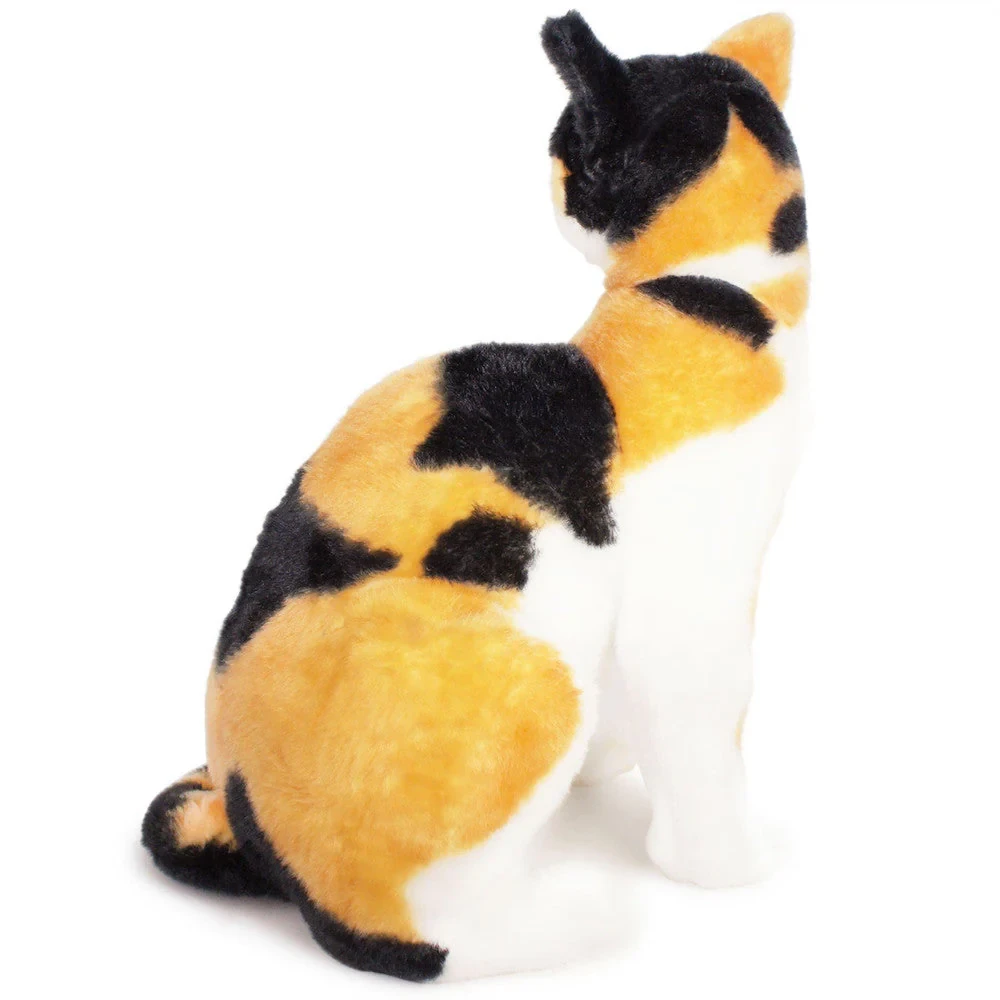 Catalina The Calico Cat