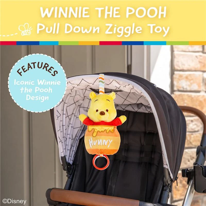 Winnie The Pooh Pull Down Ziggle Toy