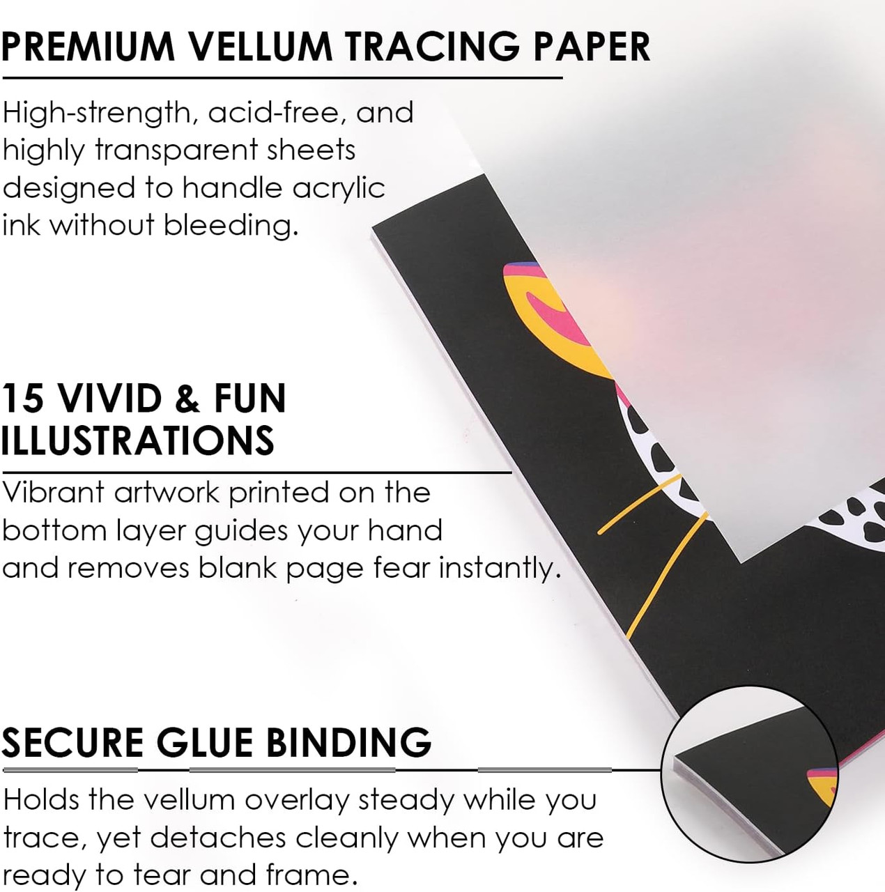 Retro Groove Trace And Color Drawing Kit