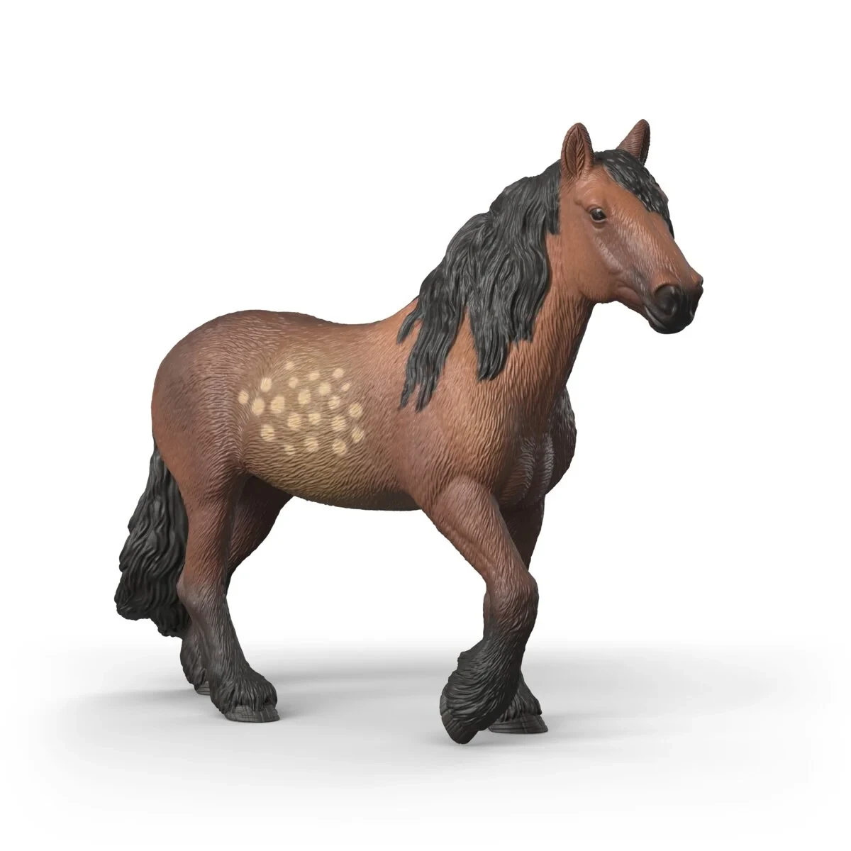 North Swedish Cold Blooded Mare