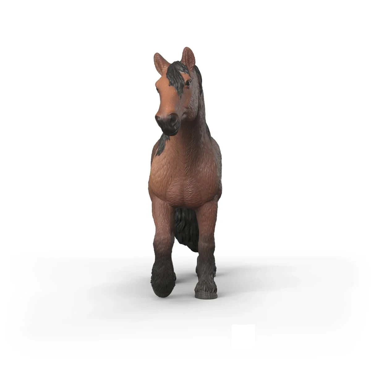 North Swedish Cold Blooded Mare
