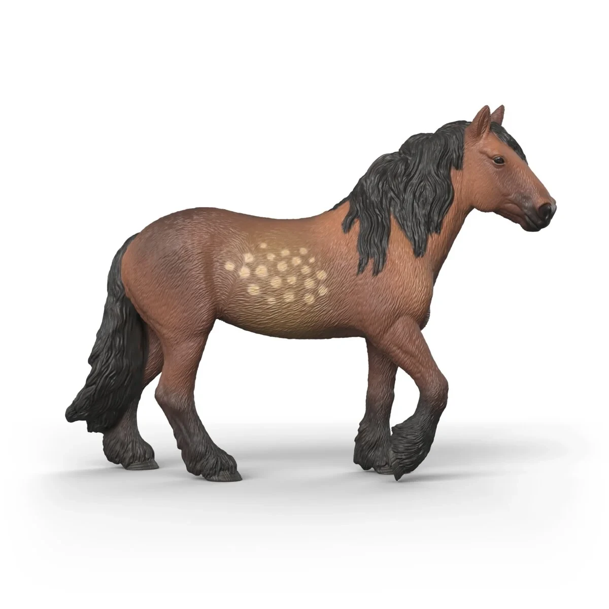North Swedish Cold Blooded Mare