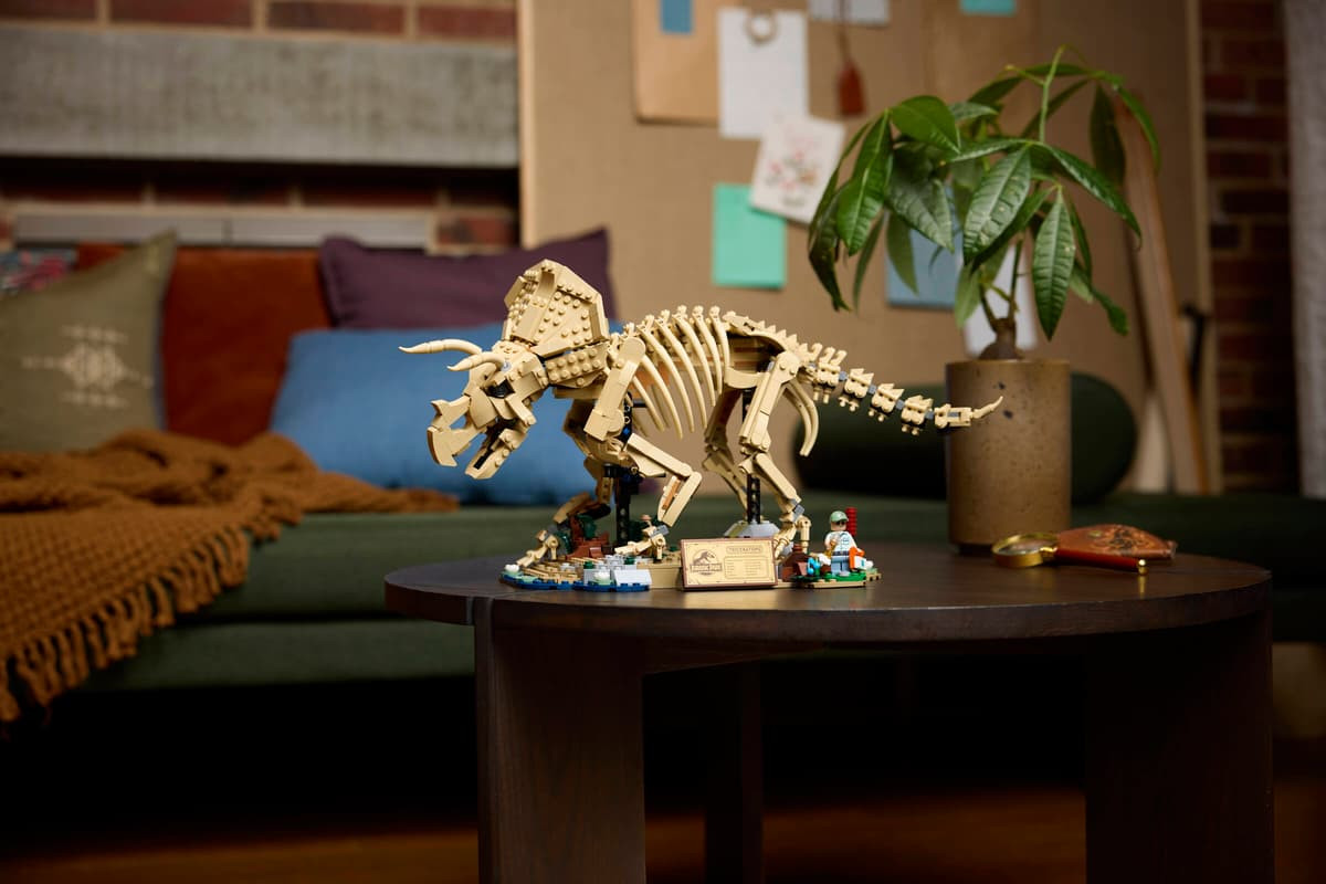 Dinosaur Fossils Triceratops