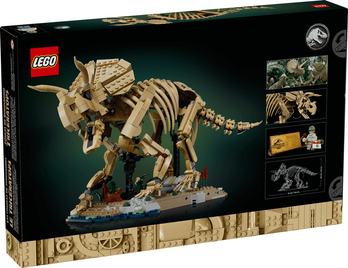 Dinosaur Fossils Triceratops