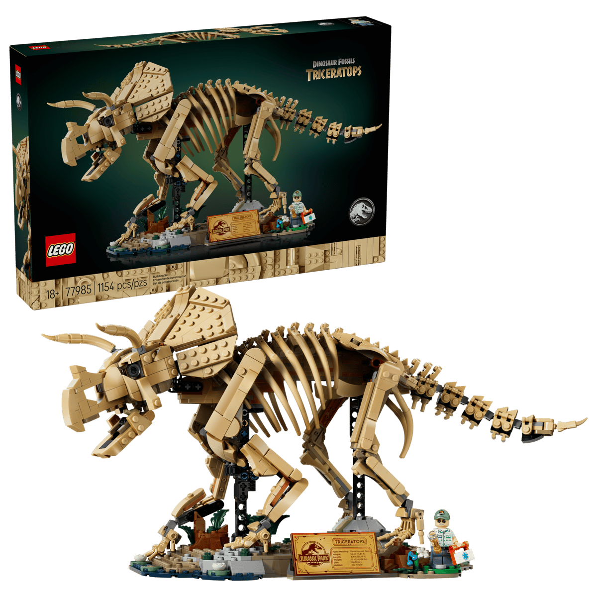 Dinosaur Fossils Triceratops