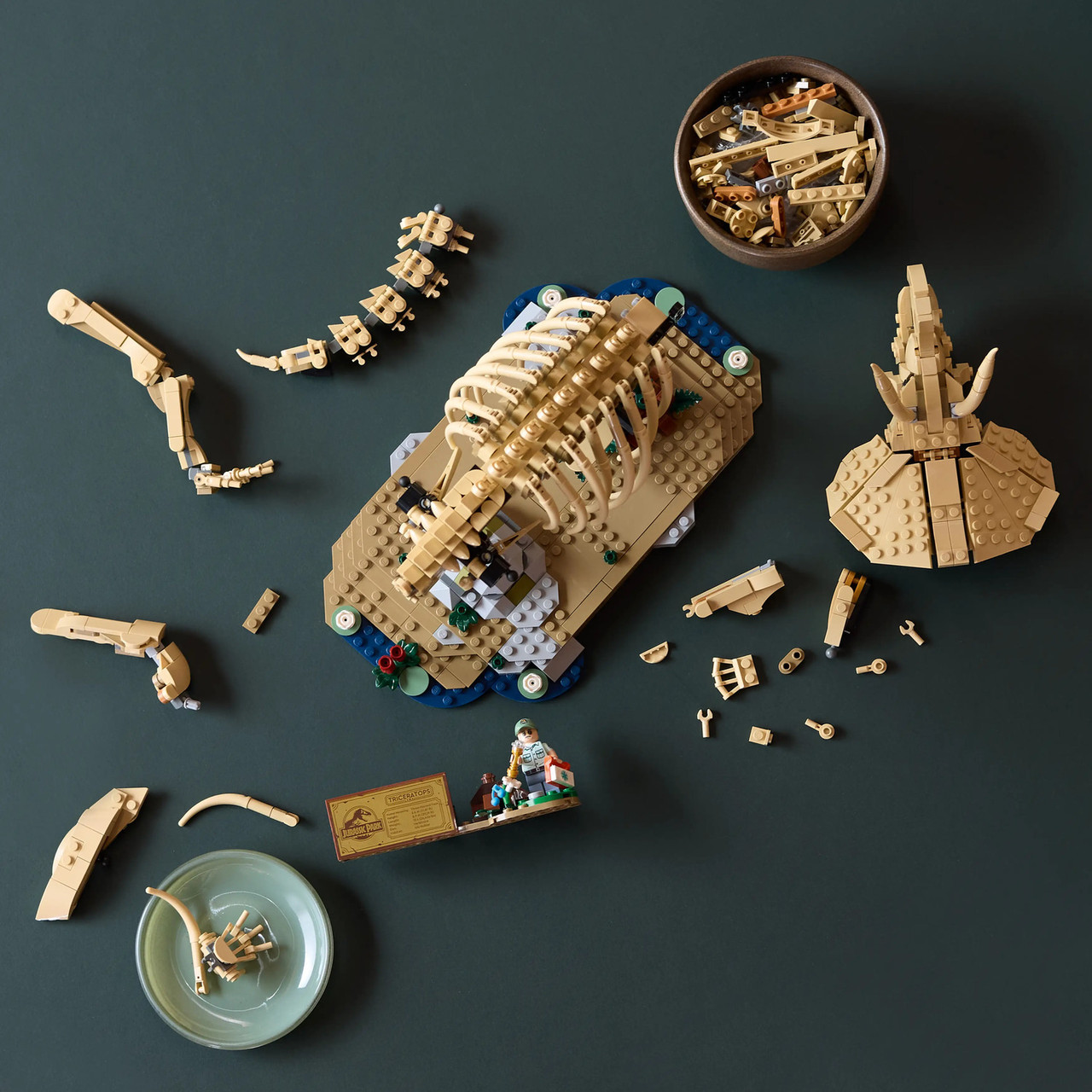 LEGO® Jurassic World Dinosaur Fossils: Triceratops 3