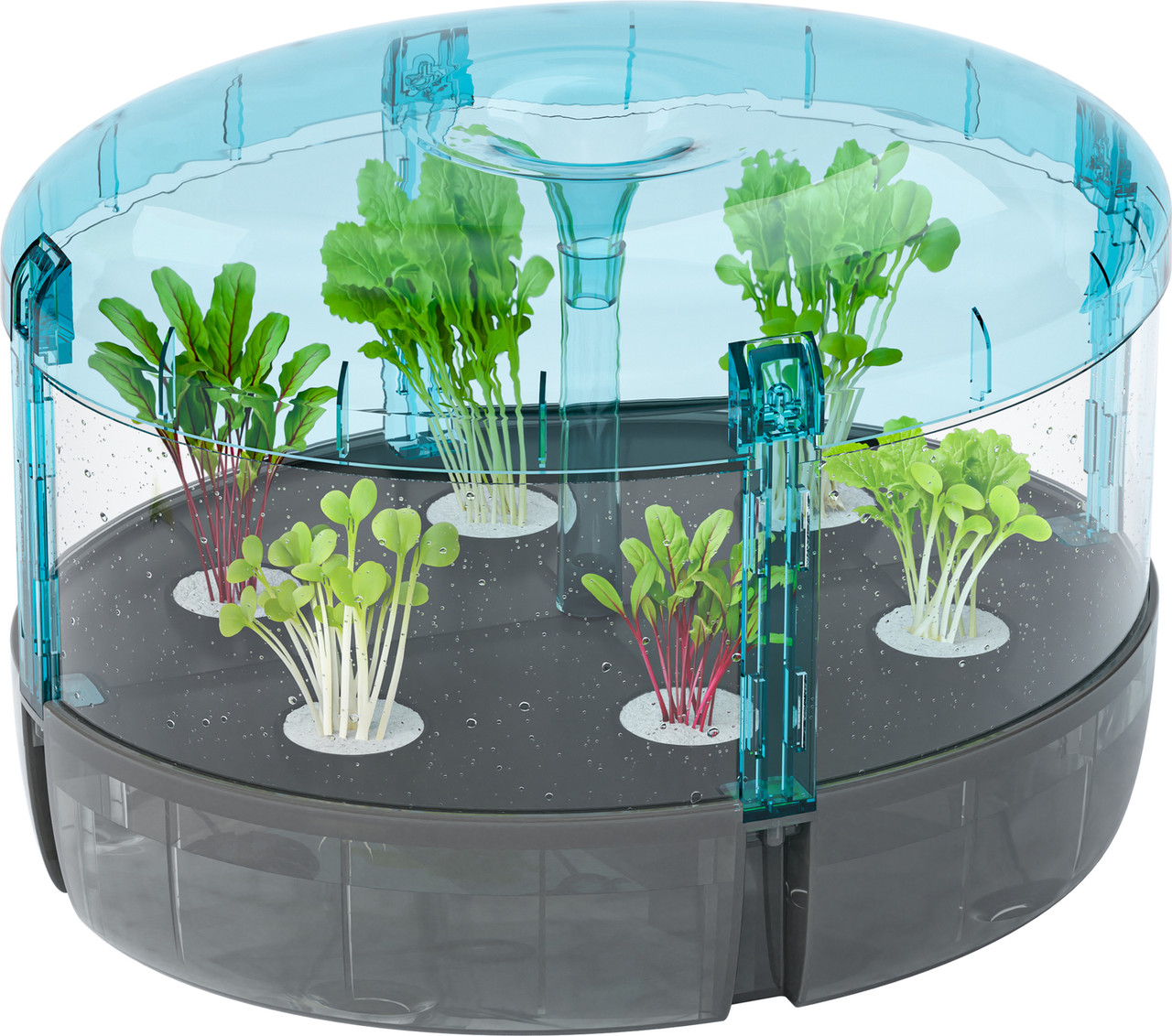 Hydroponics Lab 3
