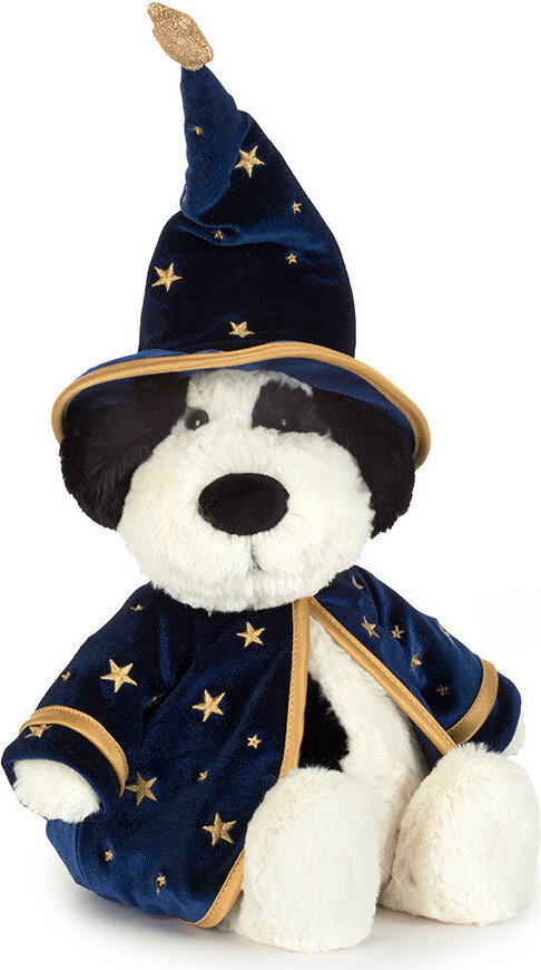 Rufferty Puppy Wizard Outfit 1