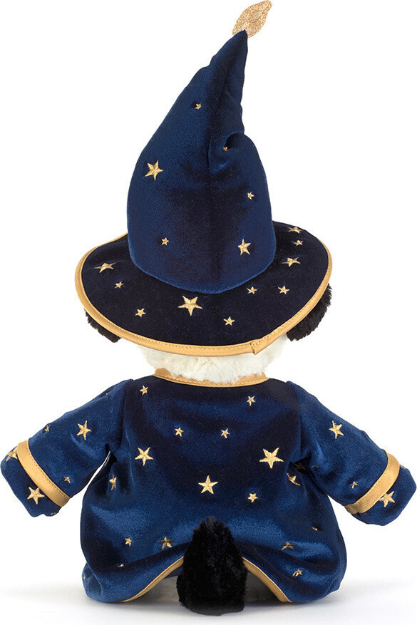 Rufferty Puppy Wizard Outfit 4