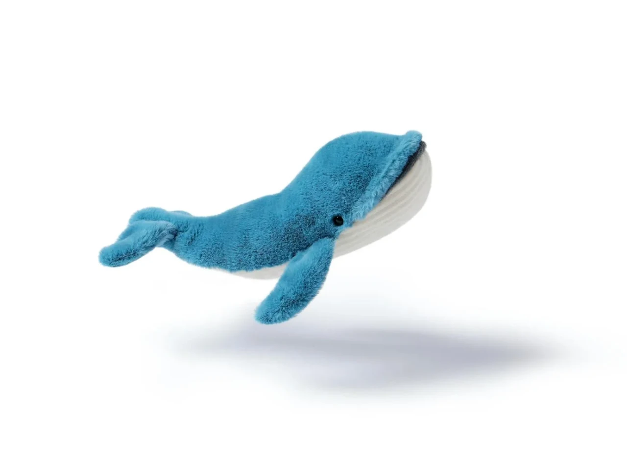 Free Blue Whale