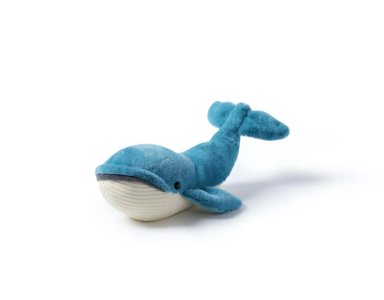 Free Blue Whale