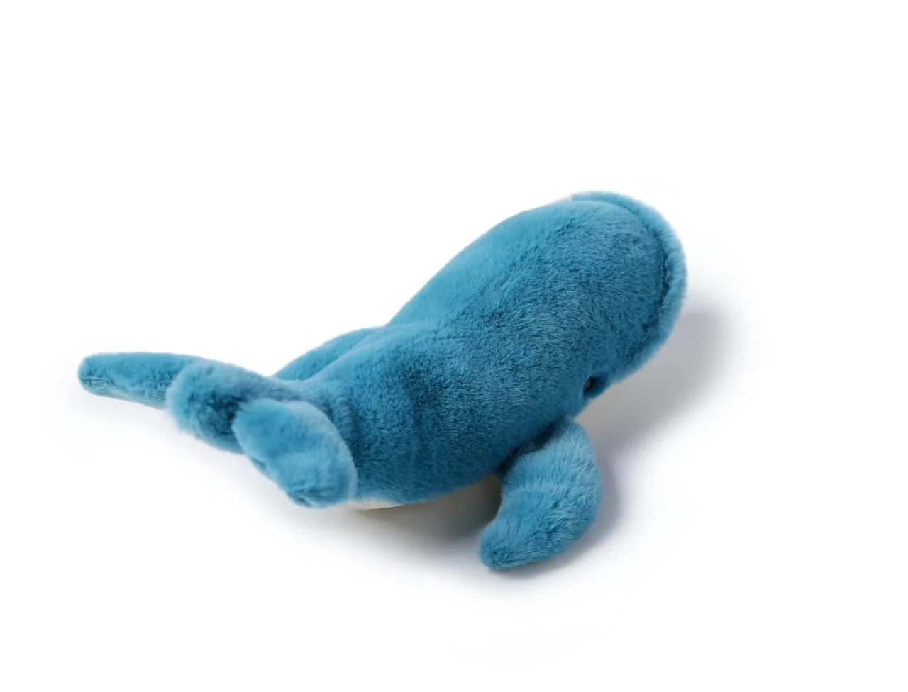 Free Blue Whale