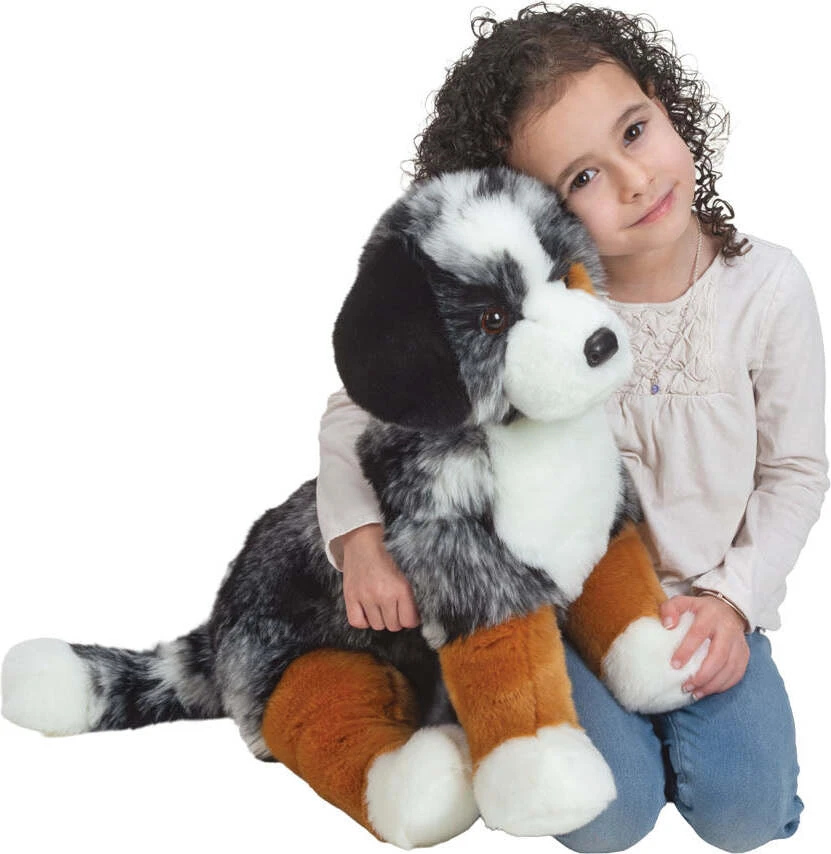 Aspen Australian Shepherd 3