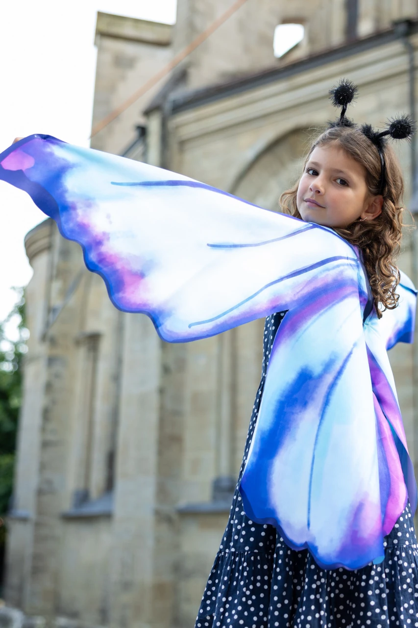 Mythical Butterfly Soft Wings & Headband 3