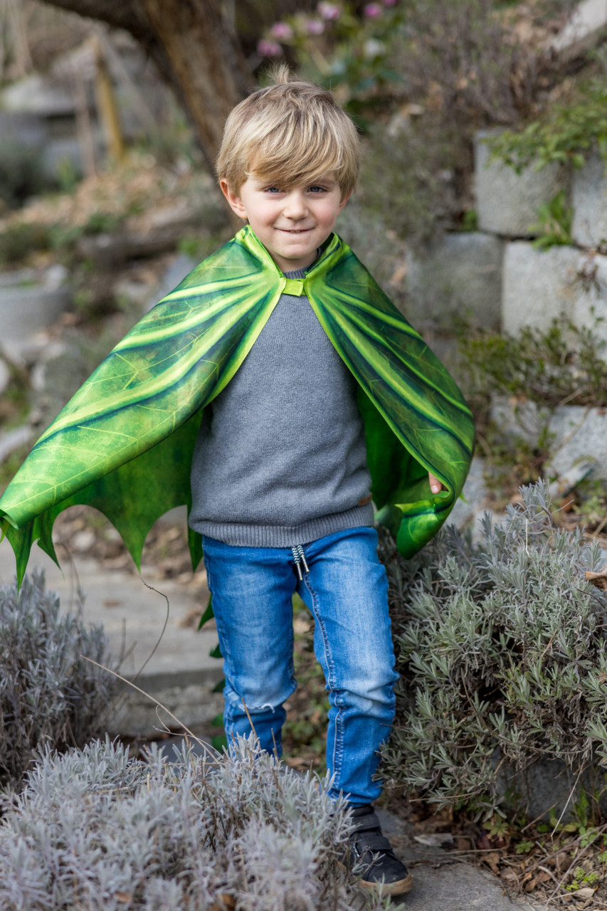 Legendary Dragon Soft Wings (size 4-6) 3