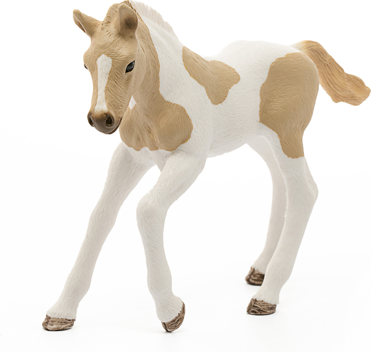 Paint Horse Foal 2