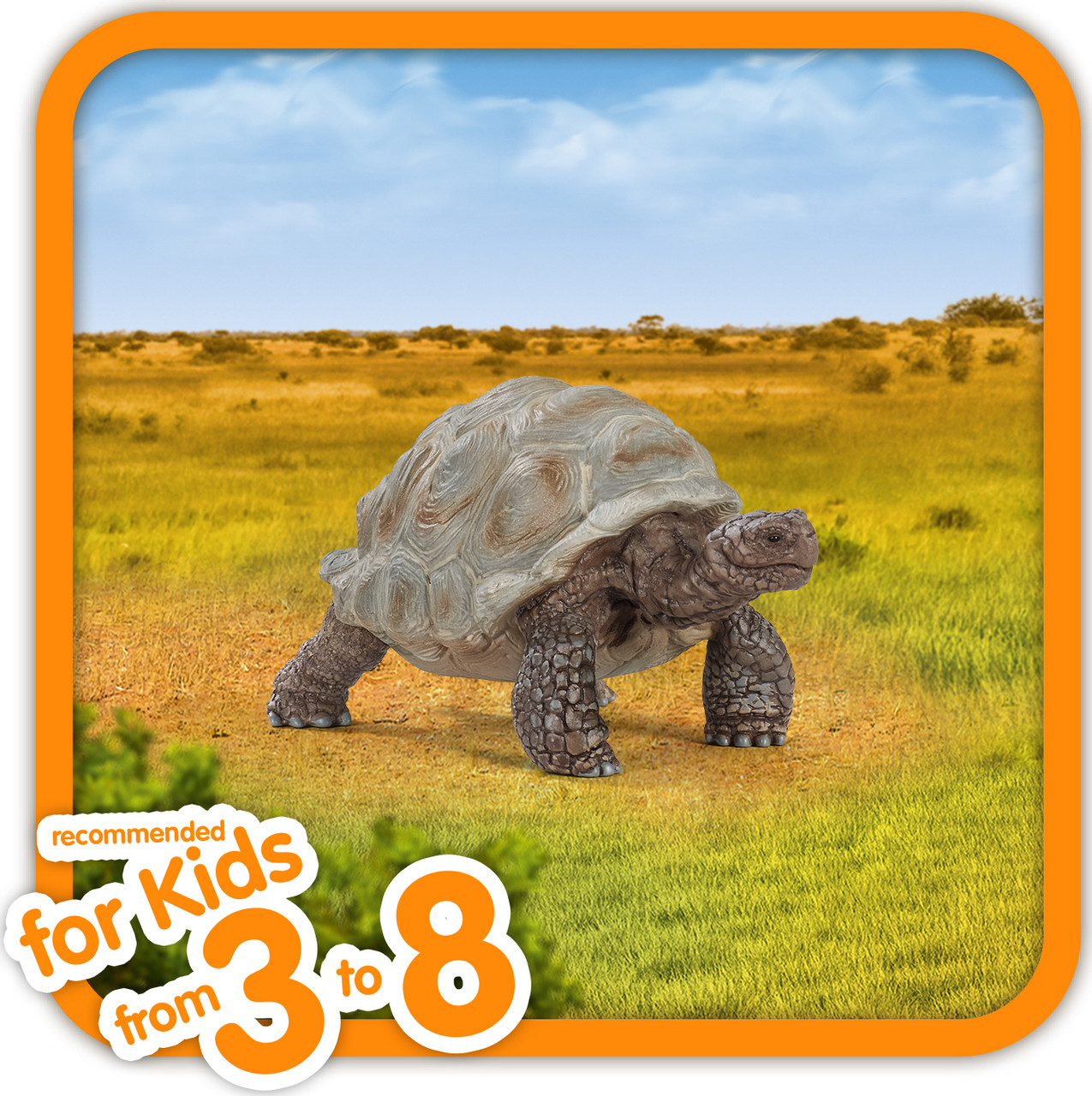 Giant Tortoise 4