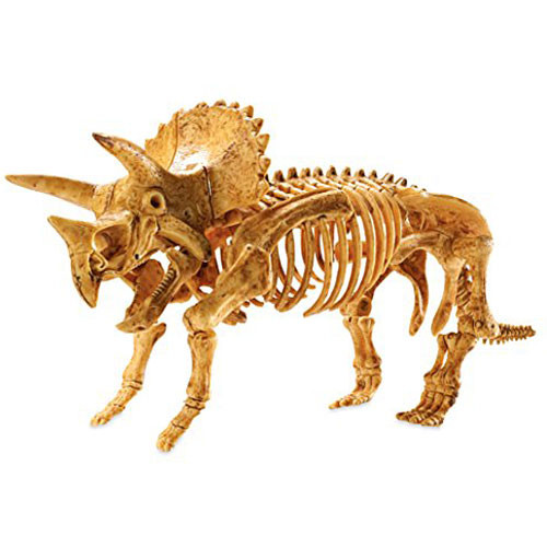 Dig It up! Triceratops 1