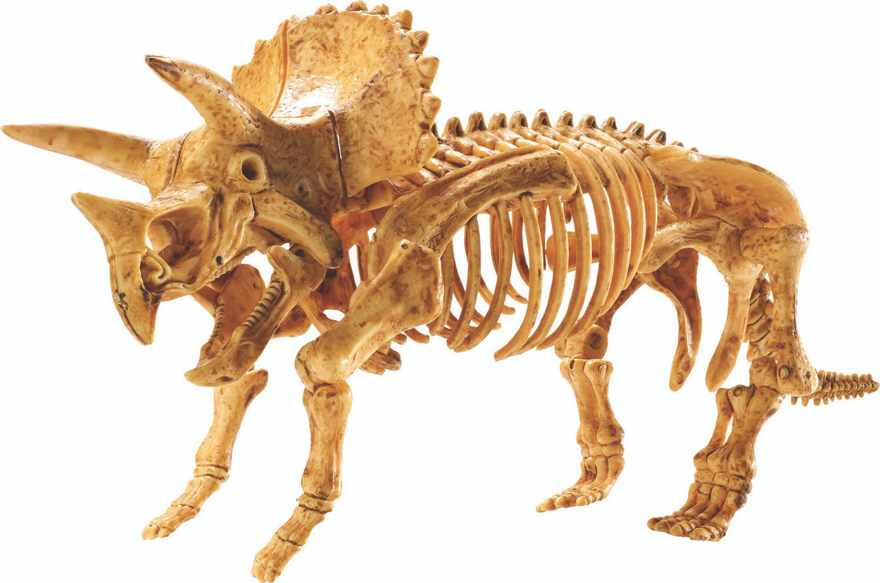 Dig It up! Triceratops 2