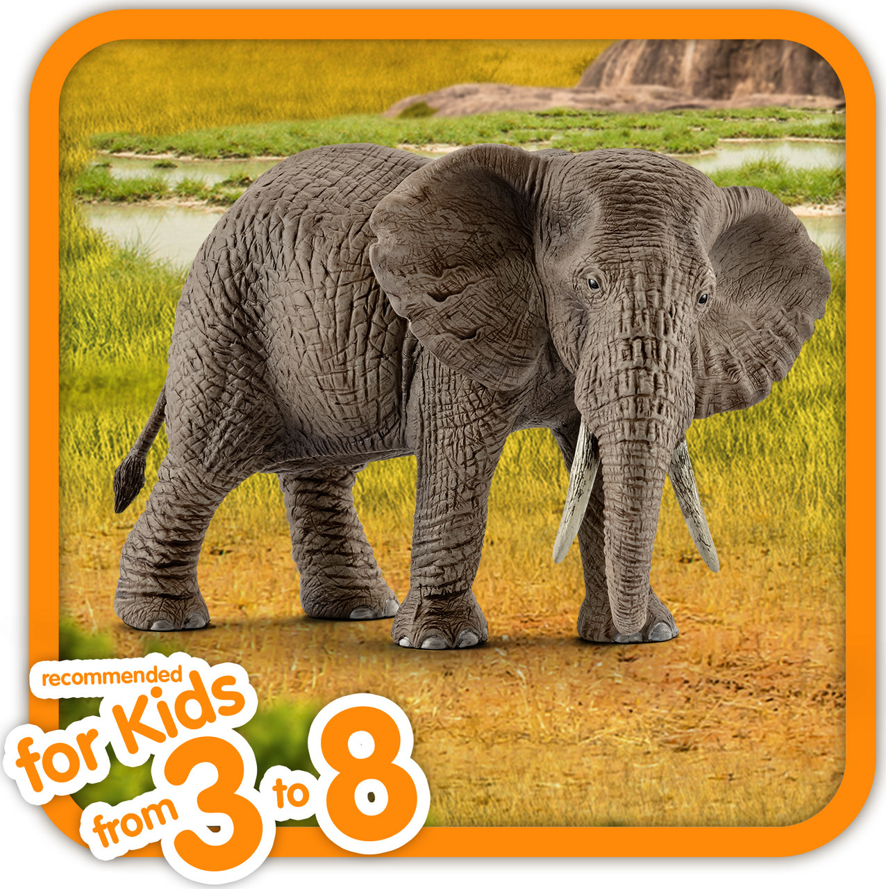 African Elephant, Female