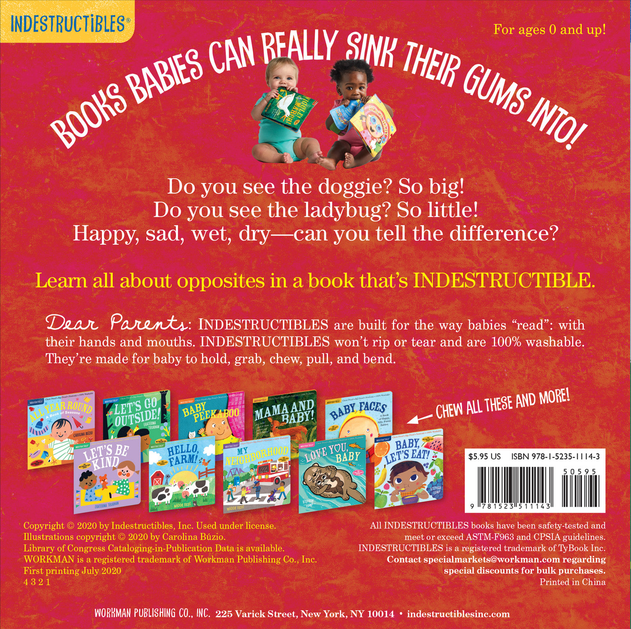 Indestructibles: Big and Little: A Book of Opposites: Chew Proof · Rip Proof · Nontoxic · 100% Washable (Book for Babies, Newborn Books, Safe to Chew) 2