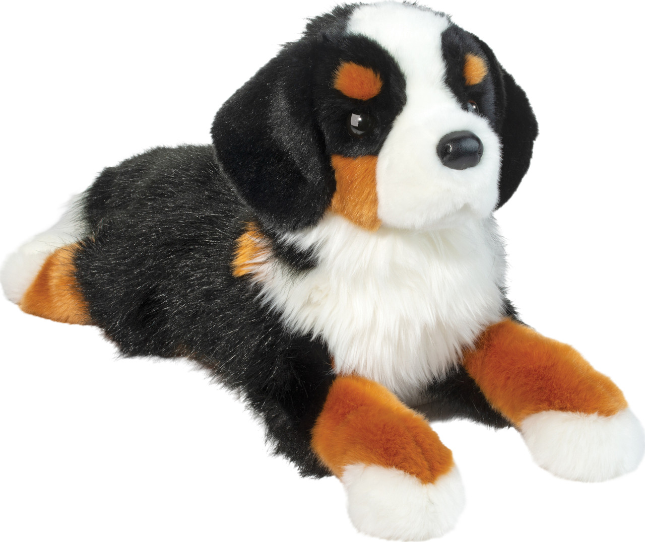 Trooper Bernese Mountain Dog 1