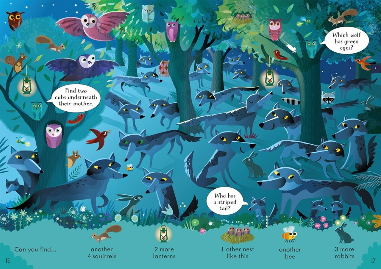 Look and Find Puzzles Nighttime 3
