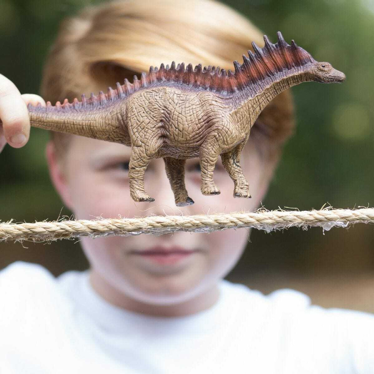 Amargasaurus 3
