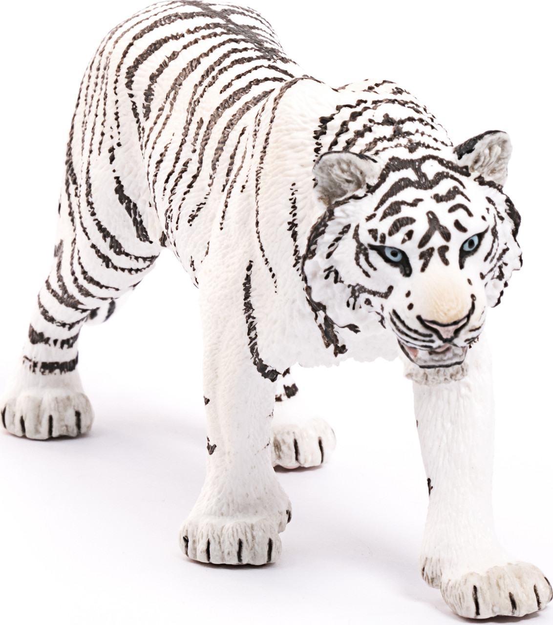 Tiger, White 2
