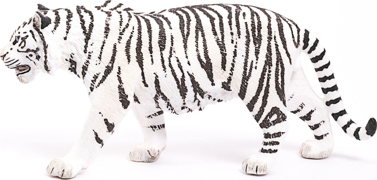 Tiger, White 5